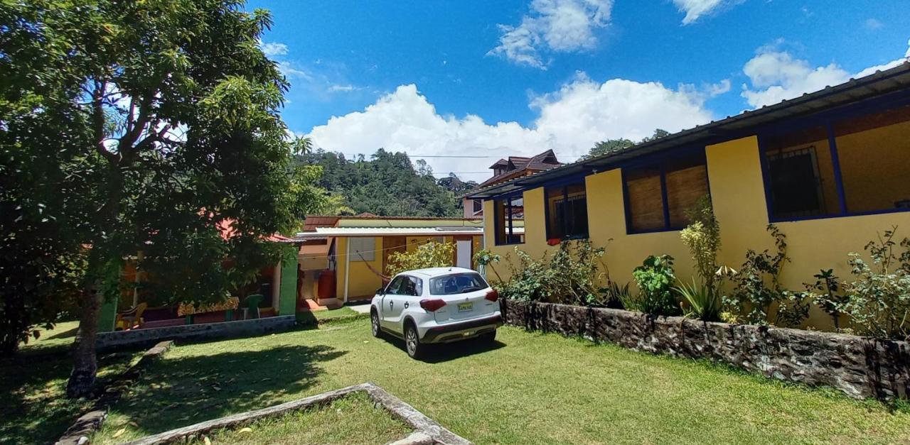 Conrado'S Guesthouse B&B Las Avispas Exteriör bild
